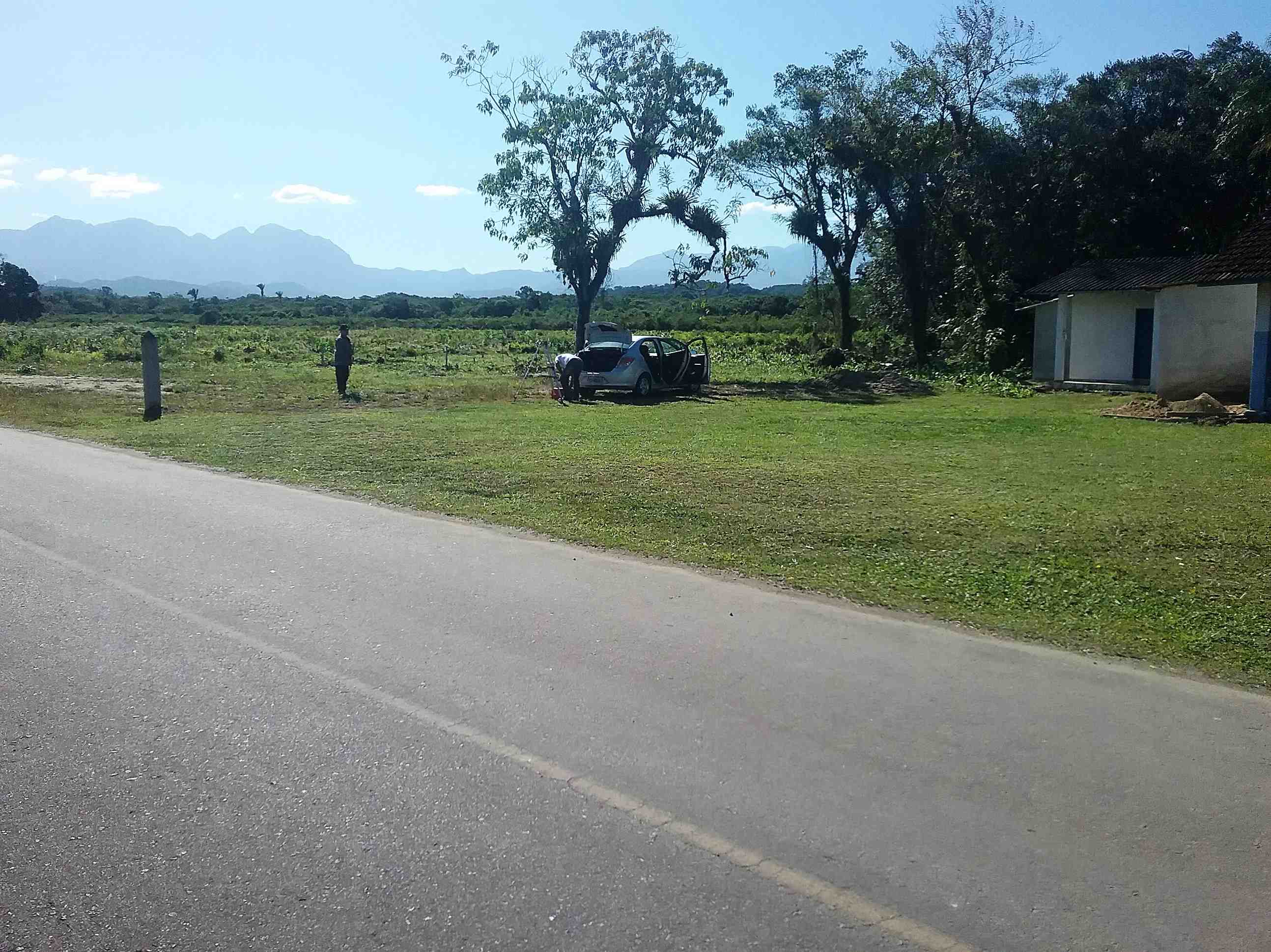 LOTE 10