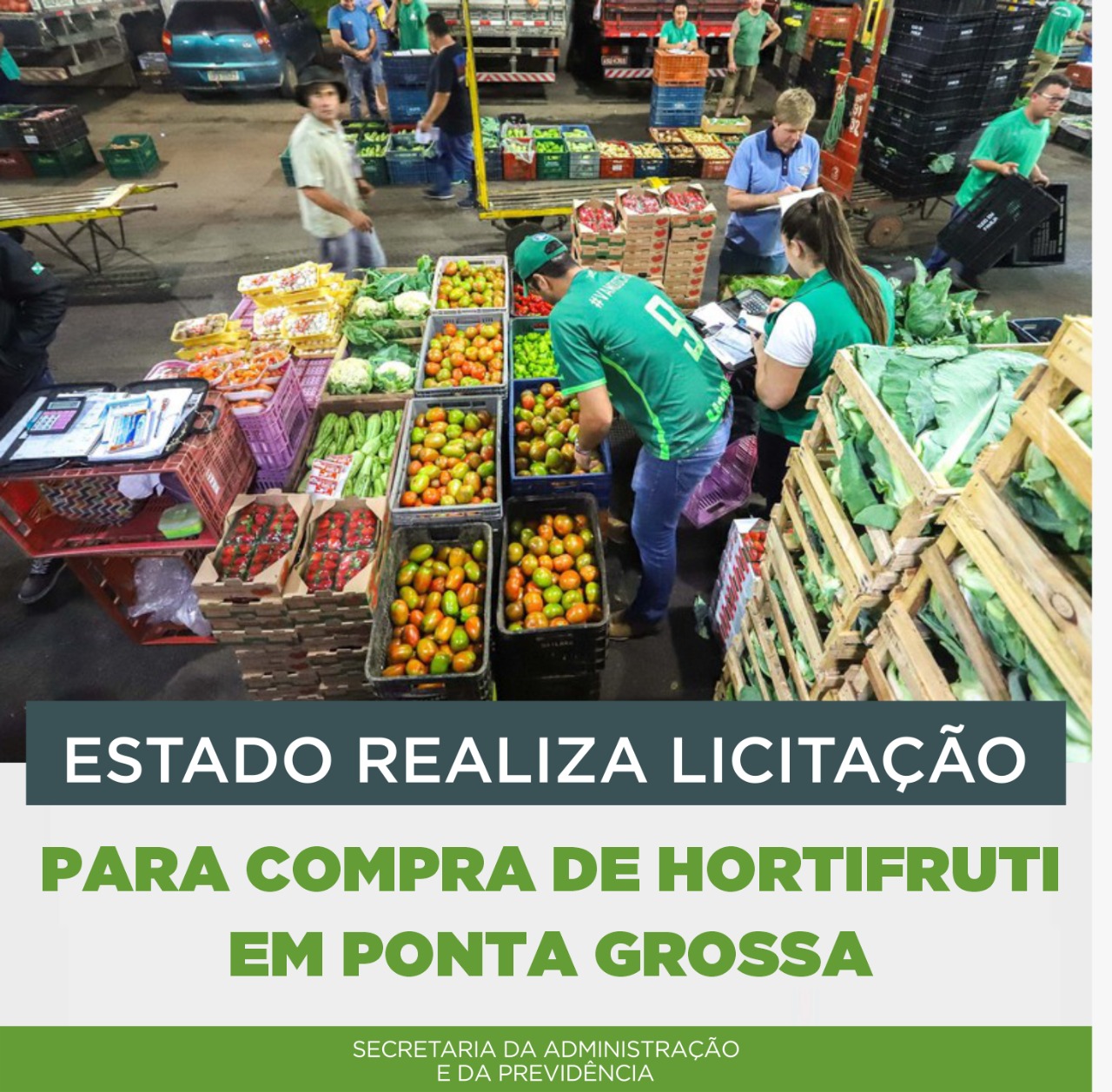 licitação ponta grossa