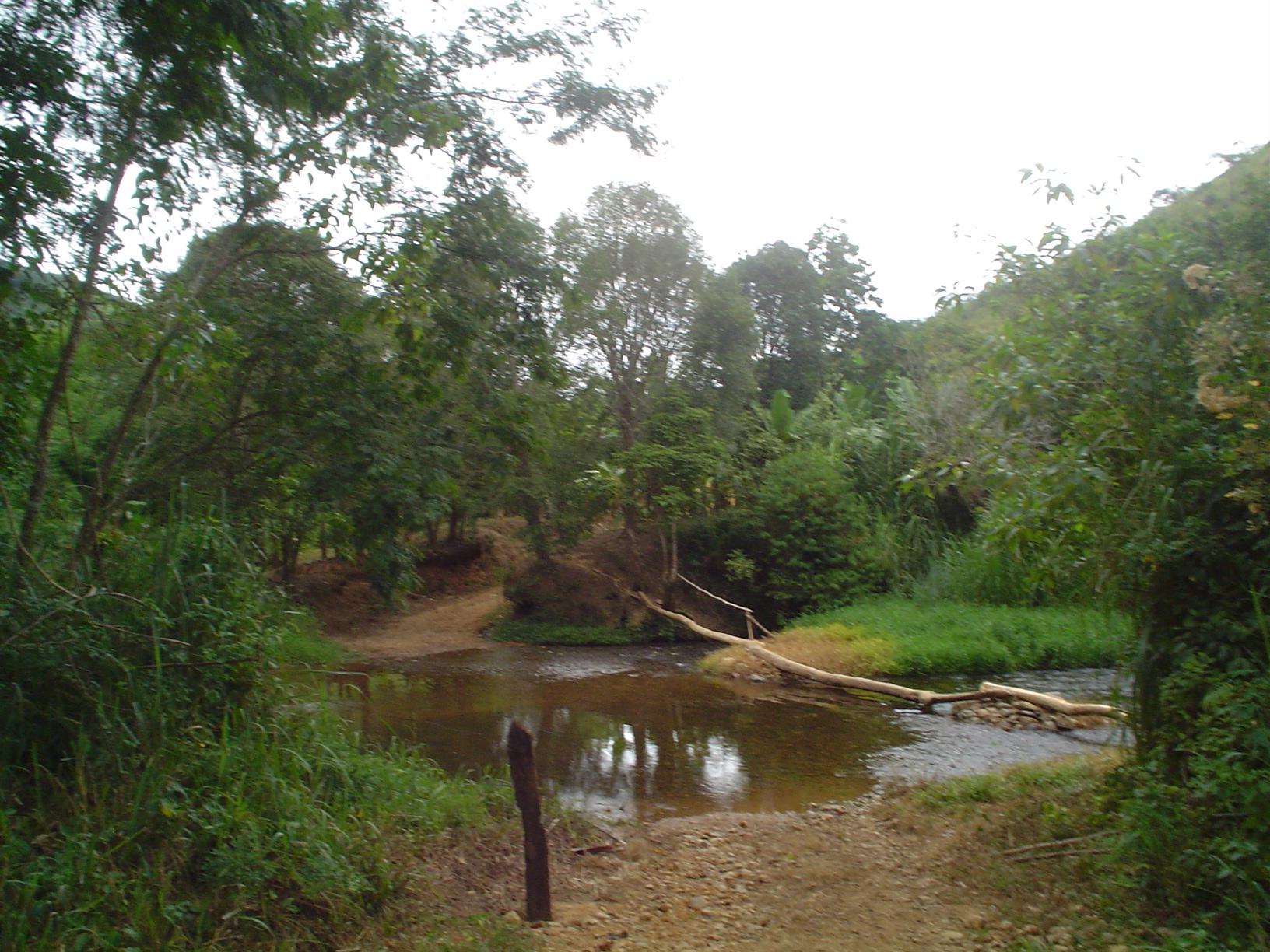 Acesso a comunidade Negra de Tatupeva