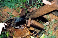 Quilombola Córrego das Moças