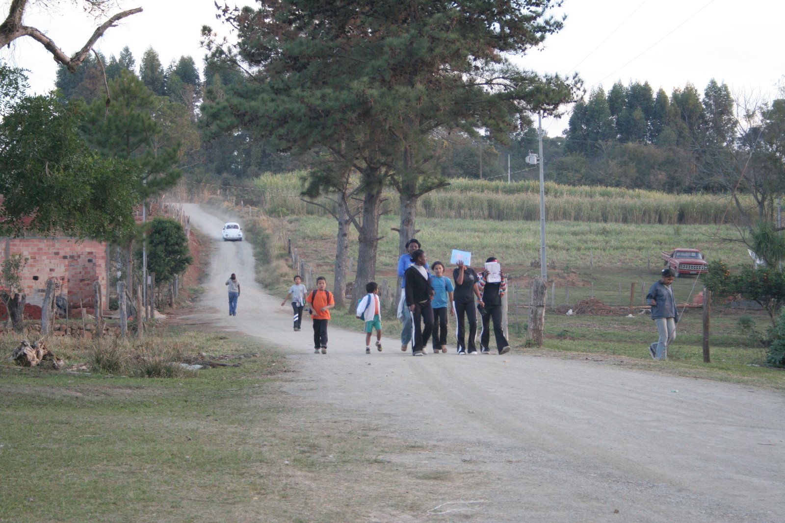 Quilombola Guajuvira