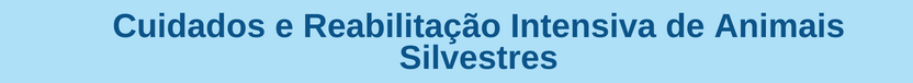 Banner curso CUIDADOS E REABILITAÇÃO INTENSIVA DE ANIMAIS SILVESTRES