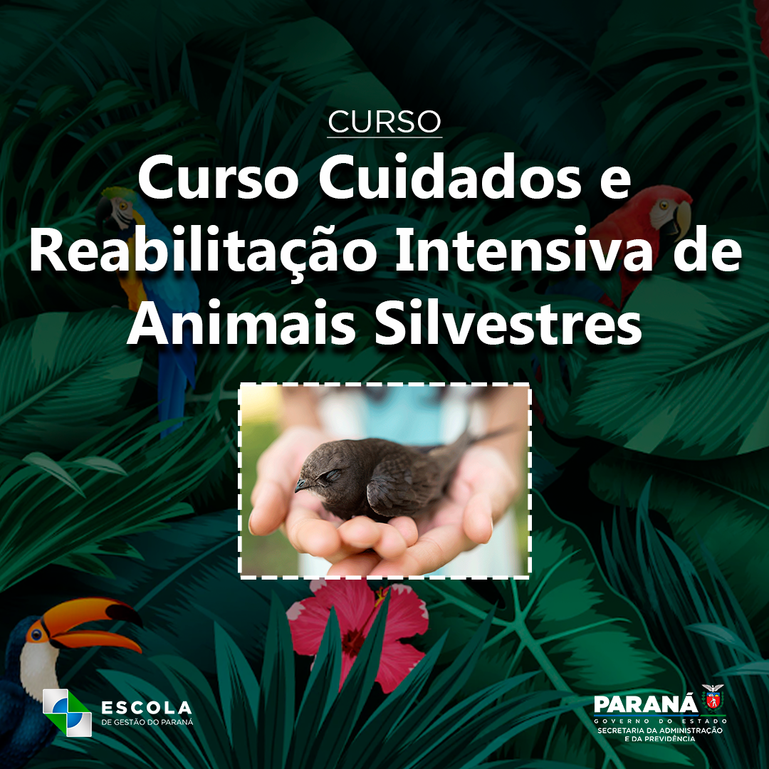 CUIDADOS BÁSICOS COM FAUNA SILVESTRE: PREPARAÇÃO PARA O PROGRAMA CRIA