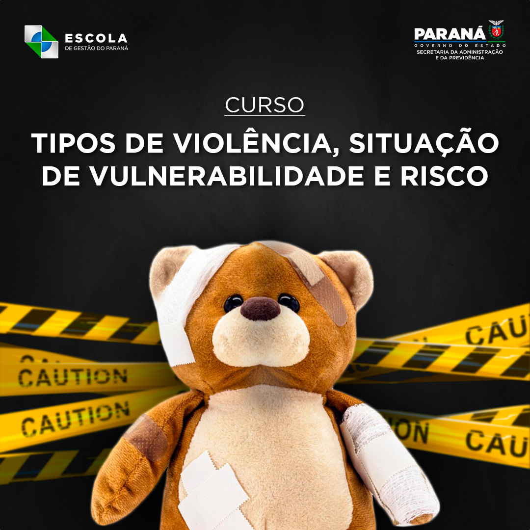 BANNER TIPOS DE VIOLÊNCIA, SITUAÇÃO DE VULNERABILIDADE E RISCO