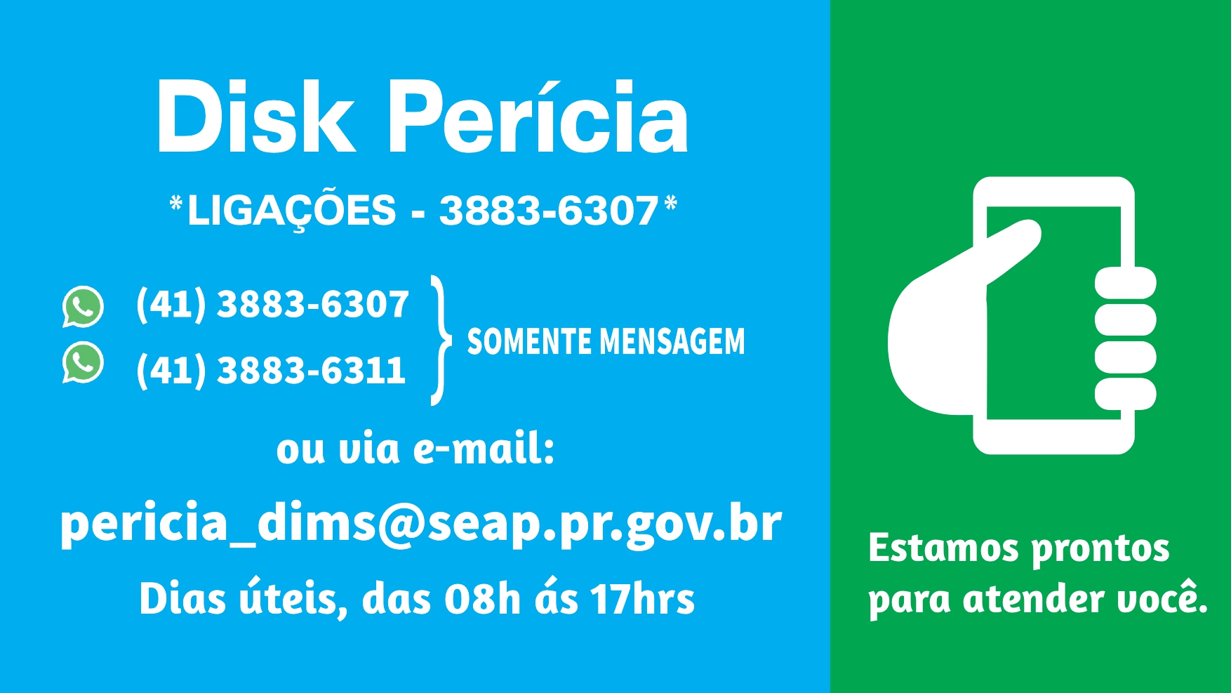 PAGINA DISK