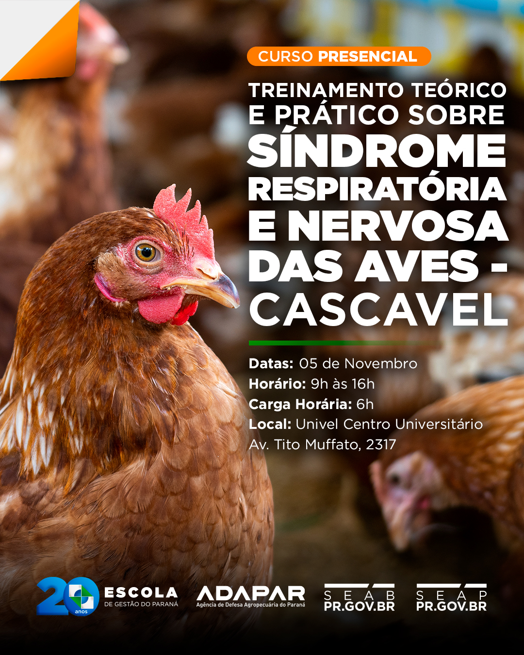 SINDROME RESPITATORIA E NERVOSA 