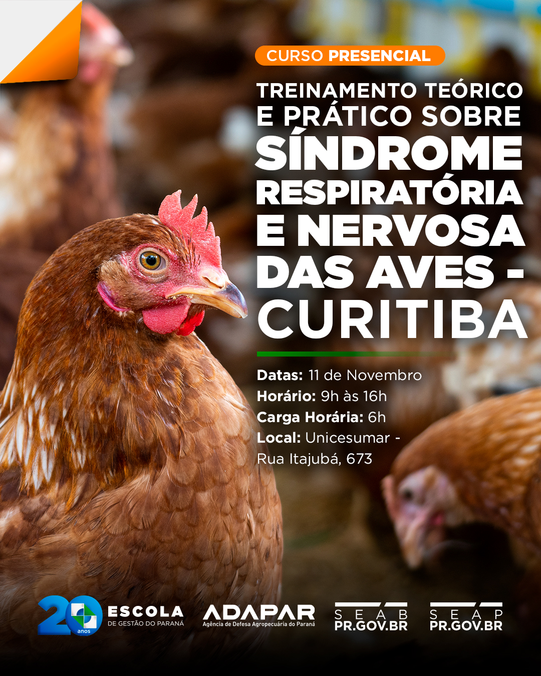 SINDROME RESPIRATORIA E NERVOSA 