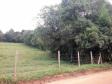 Lote 17