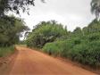 Lote 17