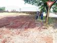 Lote 16
