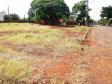 Lote 16