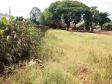 Lote 16