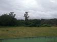 Lote 24