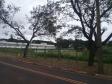 Lote 24