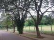 Lote 24