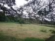 Lote 24
