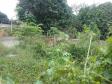 Lote 21