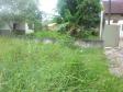 Lote 20