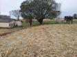 Lote 23