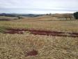 Lote 23