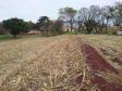 LOTE 23 – TERRENO – ASSAÍ