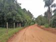 Lote 17