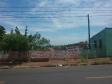Lote 19