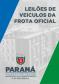 Informativo leilões