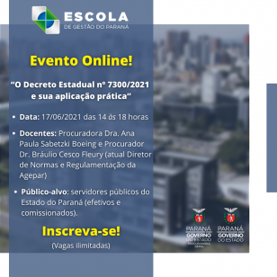 Arte Decreto 7300