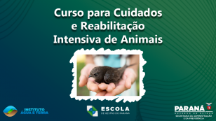 Banner curso cuidados e reabilitação intensiva de animais silvestres 