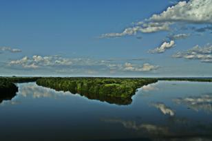 Com protagonismo ambiental, Paraná é o terceiro estado mais competitivo do Brasil