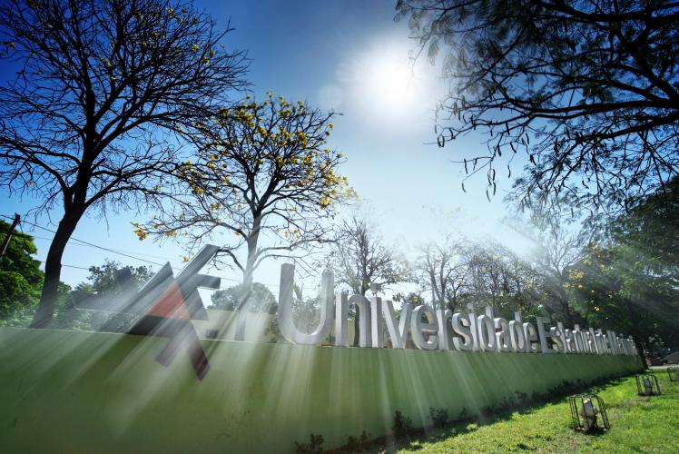 Mestrado profissional