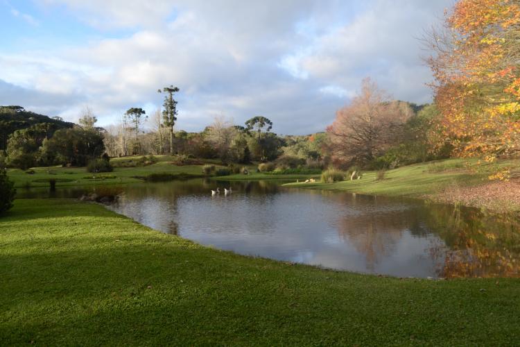 Estado oferta cursos de especialização para servidores
