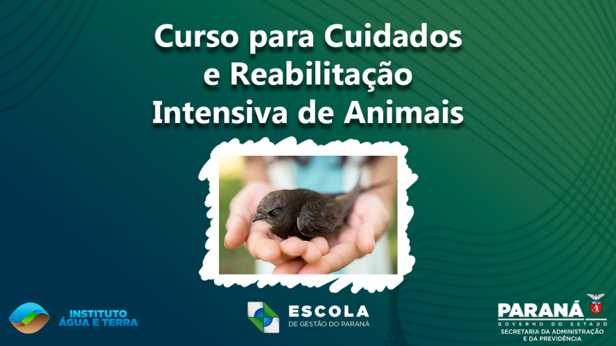 Banner curso cuidados e reabilitação intensiva de animais silvestres