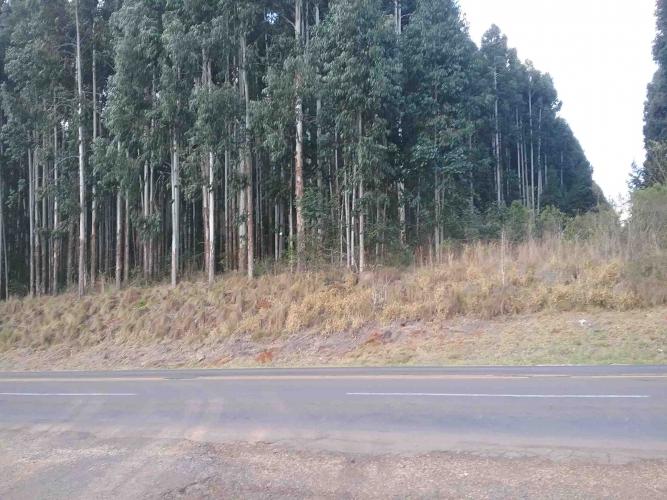 Estado promove alienação de quatro imóveis que já não têm mais utilidade pública