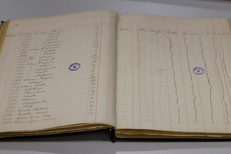 Curitiba, 22 de julho de 2024 - Arquivo Público do Paraná.