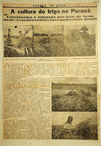 Jornal "Gazeta do Povo" - A Cultura do Trigo no Paraná reportagem do jornal Gazeta do Povo, datada de 17 de janeiro de 1942, que aborda a cultura do trigo no Paraná. A matéria descreve o entusiasmo e os esforços para fazer do Paraná um grande celeiro de produção de trigo no Brasil. Muito em parte devido a ação dos polinizadores, como as abelhas.