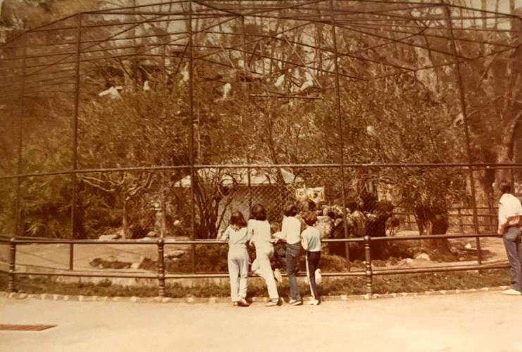 Fotos Passeio Público - BADEP.