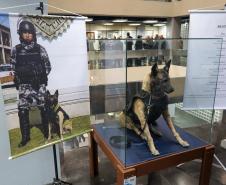 Cão Policial "Boster" espécime empalhado, em vida era especialista no faro de explosivos.