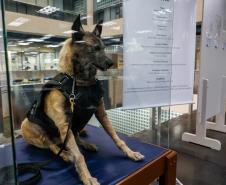 Cão Policial "BUSTER"