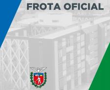 Informativo leilões