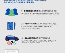 Informativo leilões