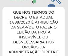 Informativo leilões