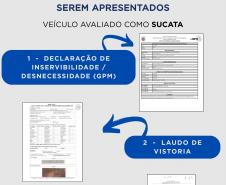 Informativo leilões