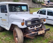 Paraná arrecada mais de R$ 14 milhões com leilões 2025