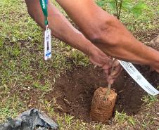 Aniversário Curitiba DEAP