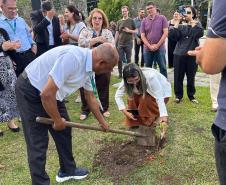 Aniversário Curitiba DEAP