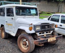 Estado inicia mais um leilão de 192 veículos