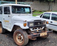 Estado arrecada quase R$ 2 milhões com primeiro leilão