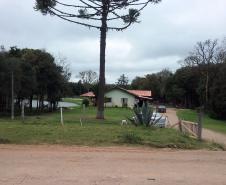 Lote 1 - Agudos do Sul - PR: área rural com área de 96.800,00m², contendo cinco edificações com área total construída de 553,48m², situado na Estrada sem Denominação, S/N, Distrito de Pinhal, às margens do Rio Negro